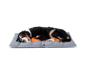 Ferplast Panier pour Chien Chat - Lit Chien Très Grand Lavable - Matelas Chien - Coussin Chien Chat - Imperméable & Anti-Rayures - Tapis Chien pour Voitures, Niches - Jolly, 108 x 79 CM, Gris