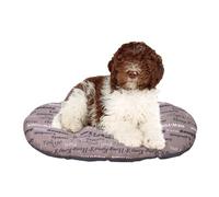 FERPLAST Panier pour Chien et Chat - Coussin Lavable en Machine - Tapis pour Niches et Voitures - Lit pour Animaux - Relax, 78 x 50 CM, MARRON