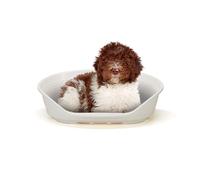 Ferplast Plastique pour Chiens et Chats Siesta Deluxe 2, Panier pour Animaux 8, Panier pour Animaux, Fond Perforé, Anti-Dérapant, Appui-Tête Confortable, 82 x 59,5 x h 25 cmBlanc
