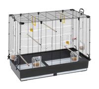 Ferplast Piano 6 Cage, Livrée avec Accessoires Mangeoires Modulables et Pivotantes en Métal Peint Noir et Bac en Plastique Marron pour Canaris, Perruches et Petits Oiseaux Exotiques 87 x 46,5 x 70 cm