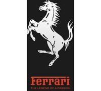 Ferrari Dalmau David (Coordination éditoriale)