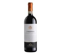 Ferrari F.lli Lunelli Spa Carapace 2019 Montefalco Sagrantino Bio Docg 75 cl