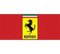 Ferrari Hardcase Fehcahcs67Bk S20+ G985Black/Czarny Carbon Heritage