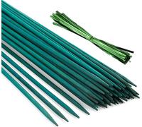 Ferrarium Tige de bambou vert coloré 50 pièces - 40cm Ø 4 mm