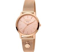 Ferre Milano Montres Femme FM1L152M0081