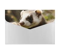 Ferret - Organiseur de documents en accordéon à 6 poches - Dossier extensible avec étiquettes, dossiers de documents de voyage - Enveloppes en plastique avec fermeture à pression - 33 x 23 cm