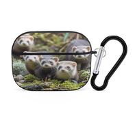 Ferrets Organiseur pour écouteurs Airpods Pro résistant aux chocs avec mousqueton anti-chute pour Airpods Pro 2ème génération Noir