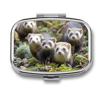 Ferrets Pilulier carré portable avec 2 compartiments, pilulier de vitamines pour poche, sac à main et voyage