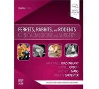 Ferrets Rabbits and Rodents - Connie Orcutt - Elsevier Health Sciences Division - Livre en Anglais - Paperback Connie OrcuttConnie Orcutt (Auteur)