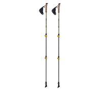 Ferrino Creek Nordic Walking Bâtonnets Gris