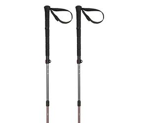 Ferrino Stick THUI Canne télescopique, Adultes, Unisexe, Grey Red (Multicolore), Taille Unique