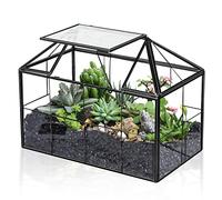 Ferrisland Terrarium en Verre pour Plantes Grasses - Grand Pot géométrique avec Rebord pour fougère succulente - Plante aérienne - Cadeau de Bricolage - Serre Miniature - Conteneur de Cartes de