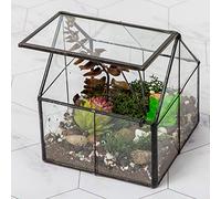 Ferrisland Terrarium en Verre pour Plantes succulentes avec Porte pour décoration de Table, Cadeau DIY - 12,7 x 10,9 x 10,9 cm