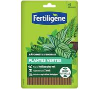 Fertiligène Bâtonnets d'engrais Plantes Vertes 40 bâtonnets