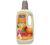 FERTILIGENE FAGPAL1 - Engrais Liquide Agrumes et Plantes du Sud Prêt à l'emploi 1 L - Plantes plus belles en 7 jours - Nourriture équilibrée - Formule à base de minéraux - Solution déjà toute prête