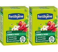 FERTILIGENE FCOSAN3 - Engrais Corne et Sang 3 kg - Action rapide et durable - Nourrit jusqu'à 3 mois - Jusqu'à 60m² fertilisées - Idéal pour la plantation du potager, des fleurs, arbustes, ornements