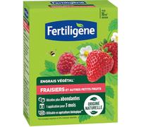 FERTILIGENE FEGFRA12 - Engrais Végétal Fraisiers et Autres Petits Fruits 1,2 kg - Des récoltes plus abondantes - Seulement 1 application en 3 mois - Jusqu'à 16m² - Produit 100% naturel avec zéolite