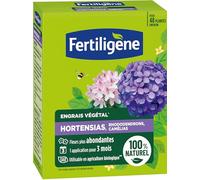 FERTILIGENE FEGHOR12 - Engrais Végétal Hortensias, Rhododendrons, Camélias 1,2 kg - Fleurs plus abondantes -Seulement 1 application en 3 mois -Jusqu'à 48 plantes - Produit 100 % naturel avec zéolite