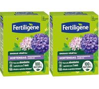 FERTILIGENE FEGHOR12 - Engrais Végétal Hortensias, Rhododendrons, Camélias 1,2 kg - Fleurs plus abondantes -Seulement 1 application en 3 mois -Jusqu'à 48 plantes - Produit 100% naturel avec zéolite