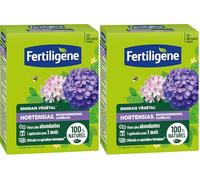 FERTILIGENE FEGHOR650 - Engrais Végétal Hortensias, Rhododendrons, Camélias 650 g - Fleurs plus abondantes -Seulement 1 application en 3 mois -Jusqu'à 26 plantes - Produit 100% naturel avec zéolite