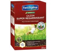 FERTILIGENE Gazon Regarnissage Terrains Endommagés - 875 g