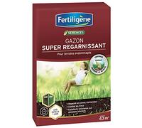 FERTILIGENE REGAR43 - Semences Gazon Super Regarnissant 875 g - Premières pousses en 1 semaine - Regarnit les zones abîmées et comble les trous - Excellence résistance aux piétinements - Pour 43 m²