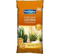 Fertiligene Substrat pour Cactées et Plantes Grasses, Terreau Spécial, 6 L