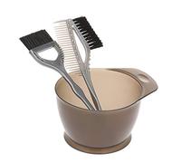 Fesjoy Brosse de Coloration de Cheveux en Plastique Haute qualité, Bol Peigne, Outils Coiffure, Kit Teinture Cheveux 3 Pièces pour Usage en Salon et à la Maison, Gris et Noir
