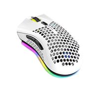 Fesjoy Souris de jeu sans fil 2,4 G rechargeable avec effet lumineux RVB 3 DPI réglables Design nid d'abeille creux Blanc
