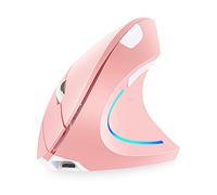 Fesjoy Souris verticale,2.4G BT Souris verticale wirel double mode Souris rechargeable Streamer RGB 3 niveaux DPI réglables