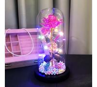 Fespcj Veilleuse LED Abat-jour Verre Fleur Eternelle Rose Rose Rouge Amoureux Chambre Coucher Salon Bureau Maison Pendaison Crémaillère Cadeau Interrupteur Contrôlable Utilisation Long Terme Economie