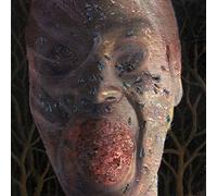 Festerday - Four Stages of. -Digi [Import]