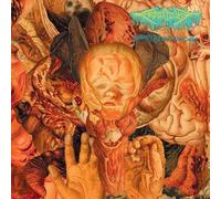 Festerdecay - Reality Rotten To The Core