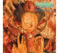 Festerdecay - Reality Rotten to The Core [Import]