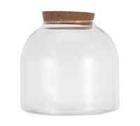FESTFENDS Mini Terrarium de Bureau en Bouteille de Verre, Terrarium hydroponique hermétique pour Mousse, Vase décoratif pour la Maison et Le Bureau.