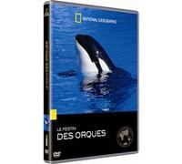 Festin des orques E
