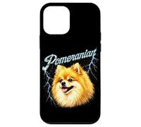 Festival Punk Rocker de Poméranie, Death Metal, Angry Music Coque pour iPhone 12 Mini