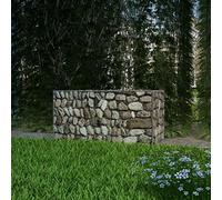 Festnight Gabion 100 x 50 x 50 cm Décoration de Jardin