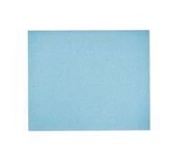 Festool Abrasif Granat 230x280 P100 GR/10