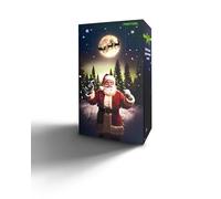 Festool Calendrier de l'Avent 2025 24 portes édition limitée