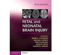 Fetal And Neonatal Brain Injury Unknown (Auteur)