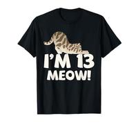 Fête d'anniversaire pour Chat de 13 Ans avec Motif de Miaou T-Shirt