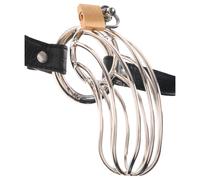 Fetish The Prisoner - cage pénienne en métal (argent)