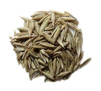 Fétuque Elevée - Festuca Arundinacea (Engrais Vert) SEM14 (Variété Gazon Granditte :250 grammes)