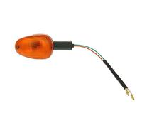 Feu Clignotant arrière Gauche pour Malaguti F12 (01)