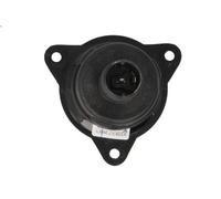 Feu clignotant HELLA 2BA 008 221-217 pour MERCEDES-BENZ UNIMOG 4.249 2000-