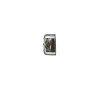 Feu clignotant, répétiteur sur rétroviseur gauche blanc 5W Fiat Ducato depuis 2006 - 6325H0 / 6325H0 / 6325H0 / 71748252