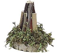 Feu de camp, petit, avec lumière
