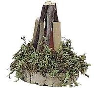 Feu de camp, petit, avec lumière