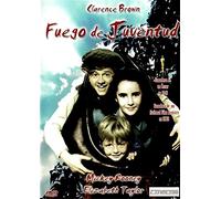 Feu Jeunesse 1944 (National Velvet) [DVD]